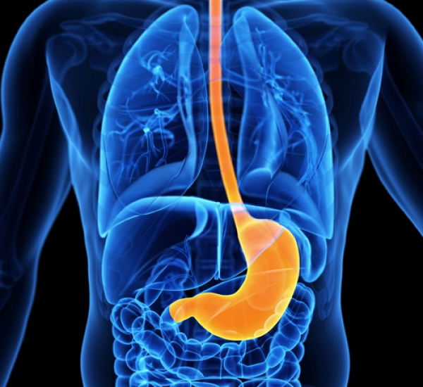 Stomach Pain Abdomen Pain (पेट दर्द)-(अपच)-(खराब हाजमा)