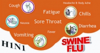 स्वाइन फ्लू (Swine Flu)